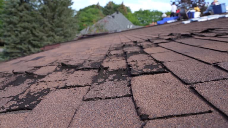 Best Roof Repair  in Weed, CA