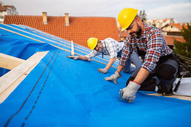 Best Green or Eco-Friendly Roofing Solutions  in Weed, CA